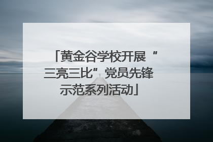 黄金谷学校开展“三亮三比”党员先锋示范系列活动