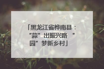 黑龙江省桦南县：“蒜”出振兴路 “园”梦新乡村