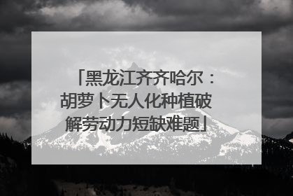黑龙江齐齐哈尔：胡萝卜无人化种植破解劳动力短缺难题