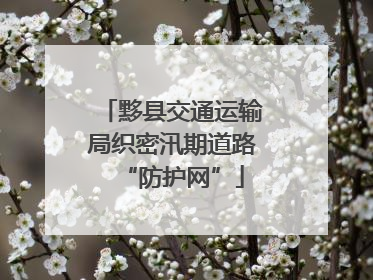 黟县交通运输局织密汛期道路“防护网”