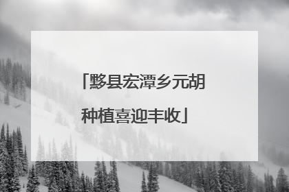 黟县宏潭乡元胡种植喜迎丰收