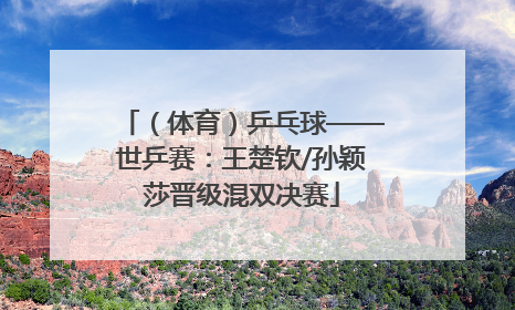 （体育）乒乓球——世乒赛：王楚钦/孙颖莎晋级混双决赛