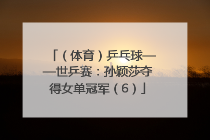 （体育）乒乓球——世乒赛：孙颖莎夺得女单冠军（6）
