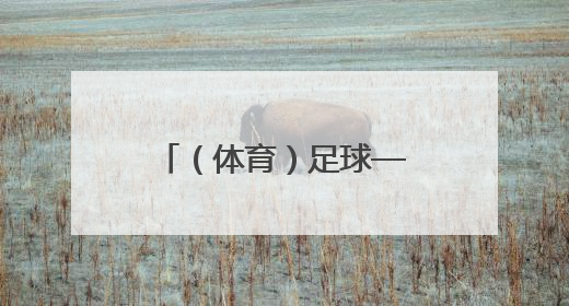（体育）足球——世俱杯小组赛：弗拉门戈队胜突尼斯希望队（2）