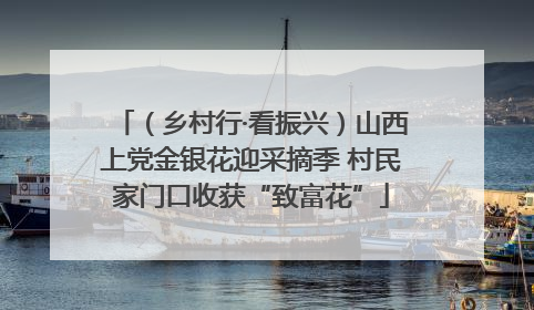（乡村行·看振兴）山西上党金银花迎采摘季 村民家门口收获“致富花”