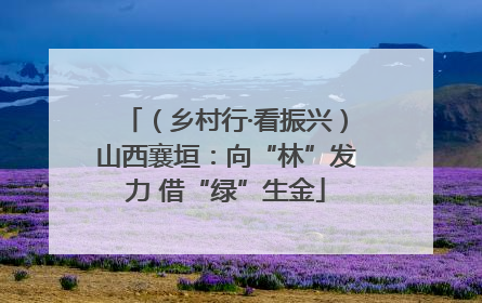 （乡村行·看振兴）山西襄垣：向“林”发力 借“绿”生金