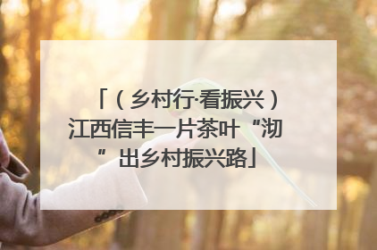 （乡村行·看振兴）江西信丰一片茶叶“沏”出乡村振兴路