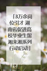 3万余岗位引才 湖南省促进高校毕业生留湘来湘系列行动启动