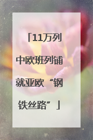 11万列中欧班列铺就亚欧“钢铁丝路”