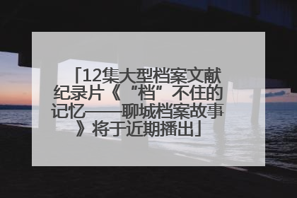 12集大型档案文献纪录片《“档”不住的记忆——聊城档案故事》将于近期播出