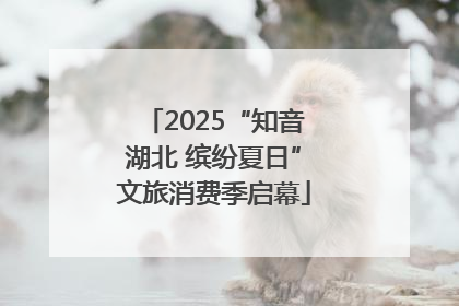 2025“知音湖北 缤纷夏日”文旅消费季启幕