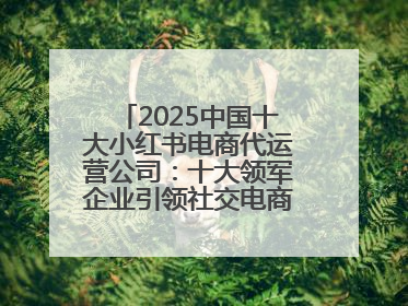 2025中国十大小红书电商代运营公司：十大领军企业引领社交电商新风向