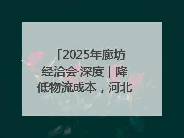 2025年廊坊经洽会·深度｜降低物流成本，河北物流集团找到一把“金钥匙”