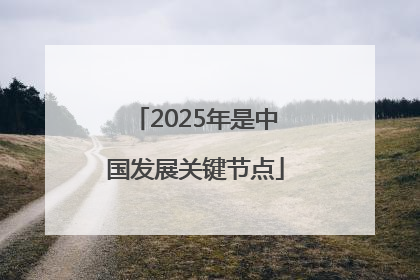 2025年是中国发展关键节点