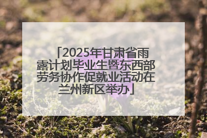 2025年甘肃省雨露计划毕业生暨东西部劳务协作促就业活动在兰州新区举办