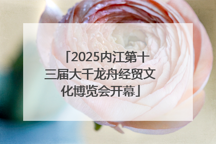 2025内江第十三届大千龙舟经贸文化博览会开幕
