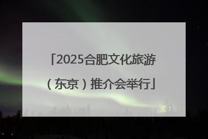 2025合肥文化旅游（东京）推介会举行