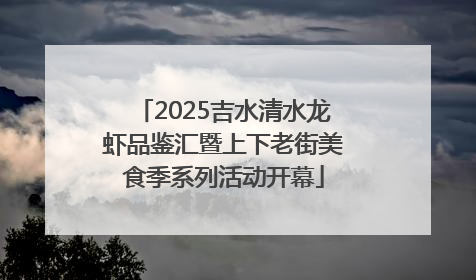 2025吉水清水龙虾品鉴汇暨上下老街美食季系列活动开幕