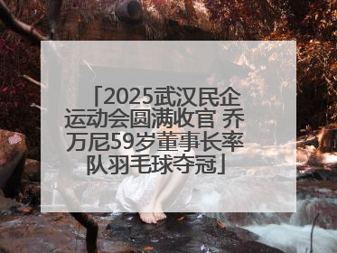 2025武汉民企运动会圆满收官 乔万尼59岁董事长率队羽毛球夺冠