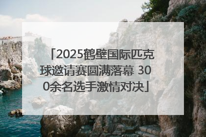2025鹤壁国际匹克球邀请赛圆满落幕 300余名选手激情对决