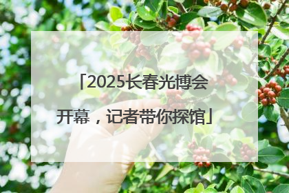 2025长春光博会开幕，记者带你探馆