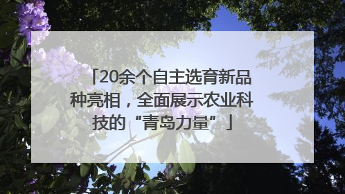 20余个自主选育新品种亮相，全面展示农业科技的“青岛力量”