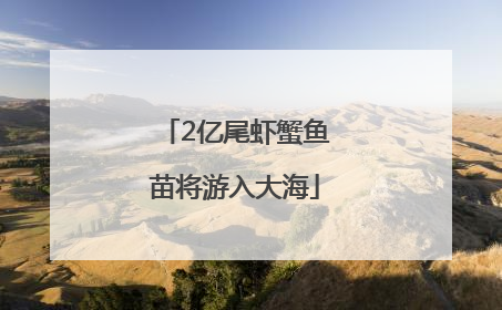 2亿尾虾蟹鱼苗将游入大海