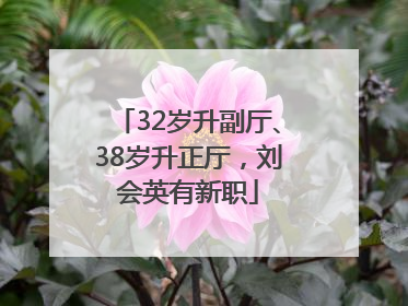 32岁升副厅、38岁升正厅，刘会英有新职