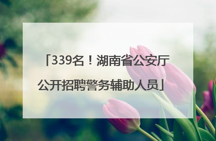 339名！湖南省公安厅公开招聘警务辅助人员