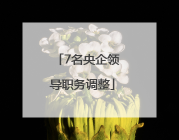 7名央企领导职务调整