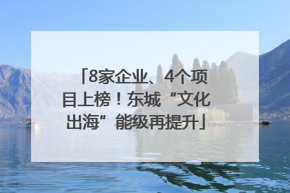 8家企业、4个项目上榜！东城“文化出海”能级再提升