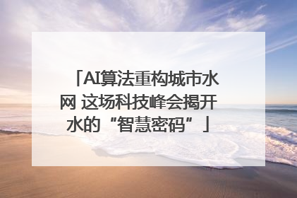 AI算法重构城市水网 这场科技峰会揭开水的“智慧密码”