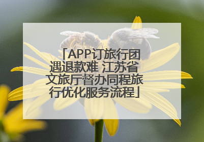 APP订旅行团遇退款难 江苏省文旅厅督办同程旅行优化服务流程