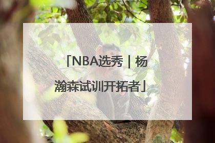 NBA选秀｜杨瀚森试训开拓者
