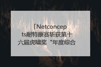 Netconcepts耐特康赛斩获第十六届虎啸奖“年度综合服务商”大奖